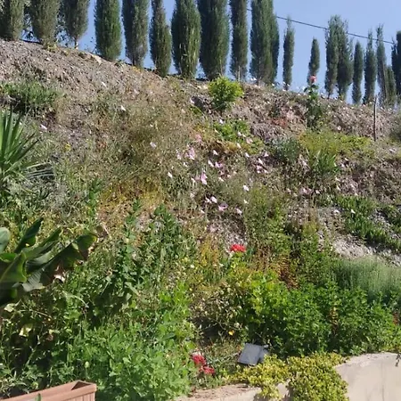 Loft Rural Molinillo Comares